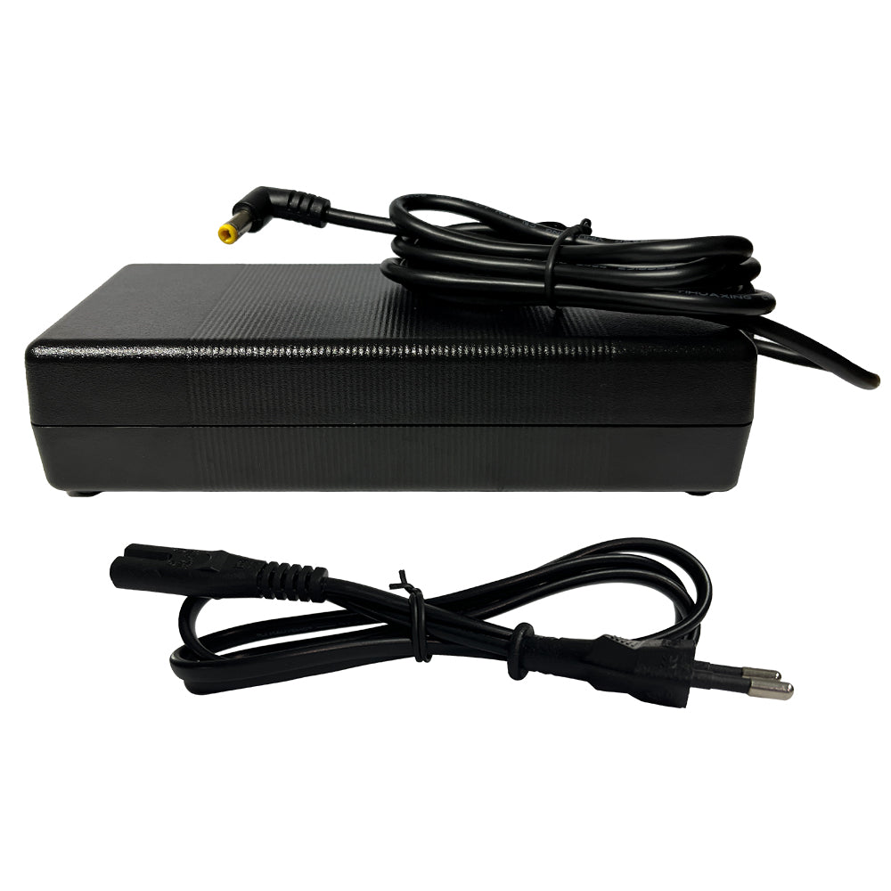 Caricabatterie al litio BT20