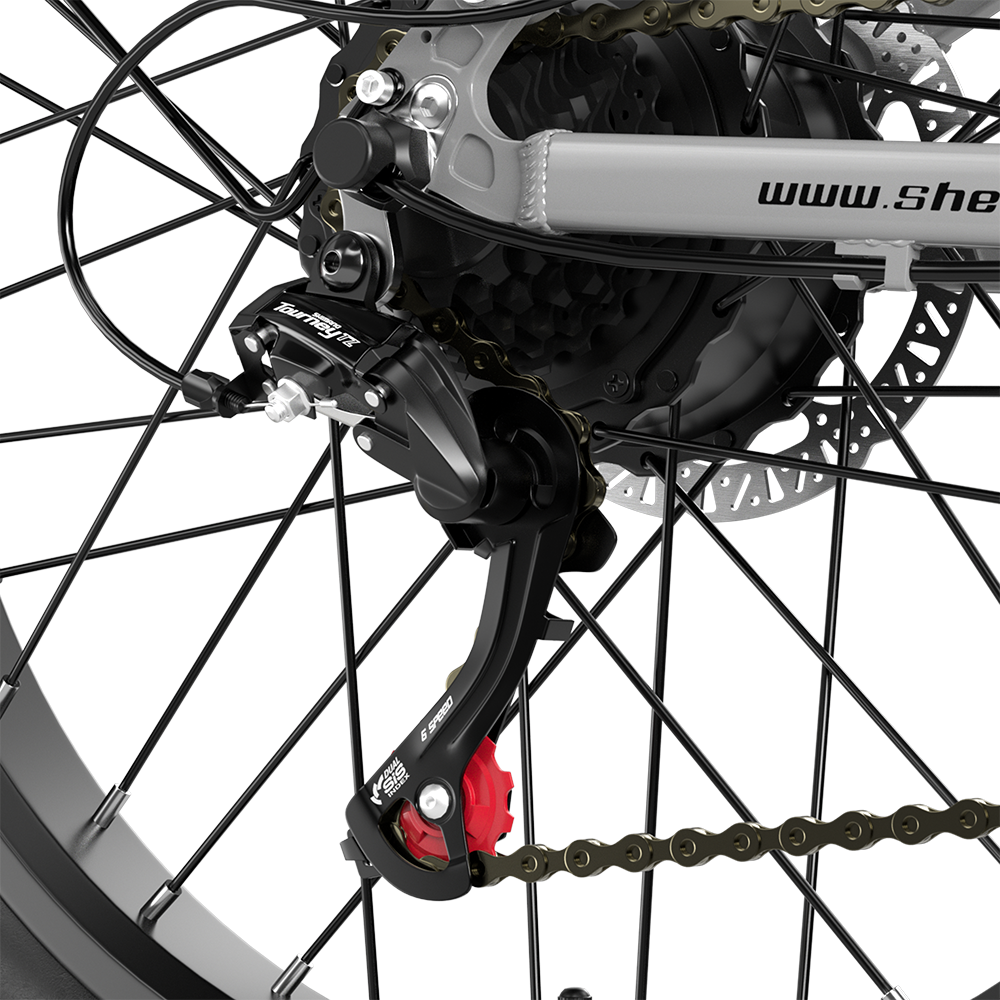 Shengmilo S600 2000W Dual Motor Electric Bike