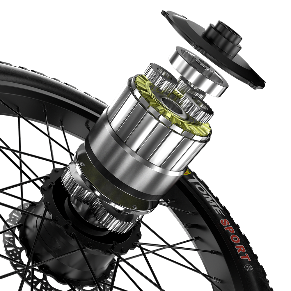 Shengmilo S600 2000W Dual Motor Electric Bike