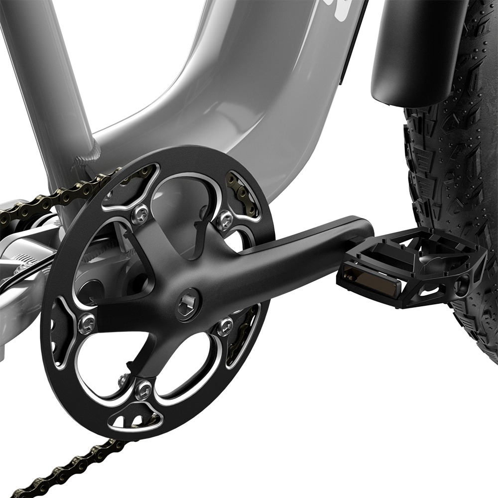 Shengmilo S600 2000W Dual Motor Electric Bike