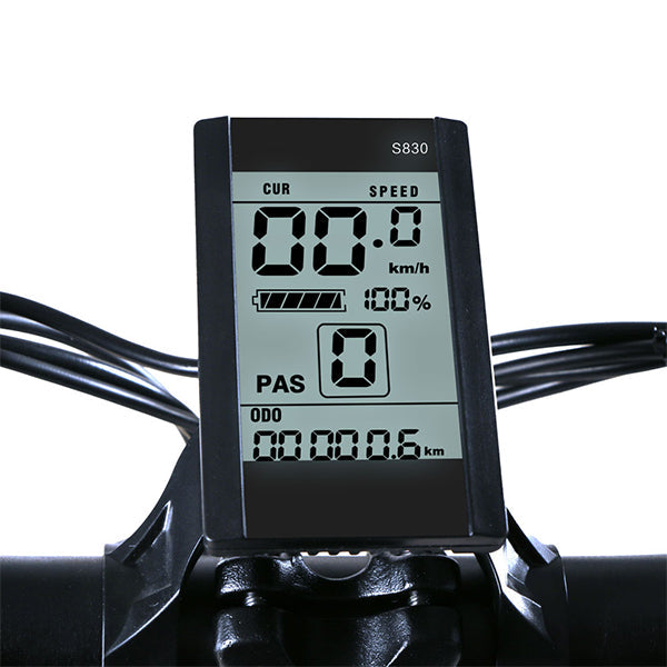 SAMEBIKE Display LCD
