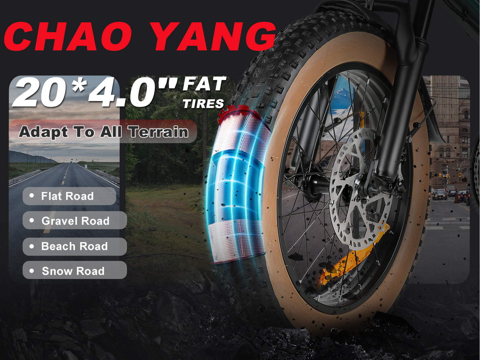 XWLX09-II 1000W Ebike da Montagna con Pneumatici Larghi