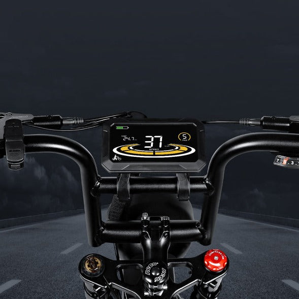 M20-III 2000W elektrische fiets