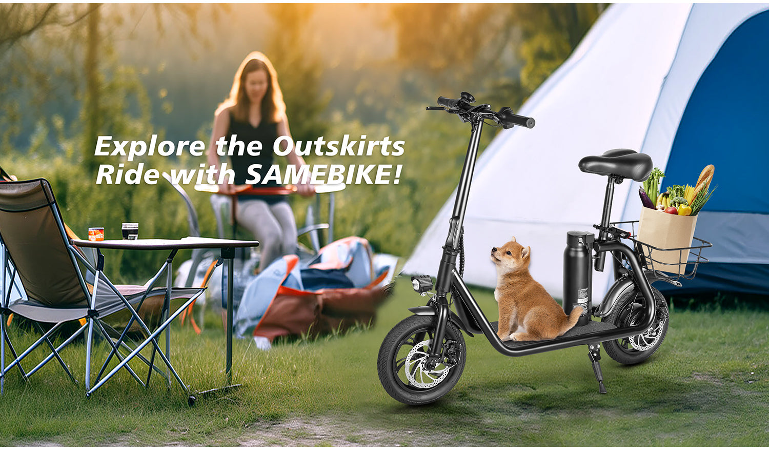 SM-C01 Foldable Electric Scooter With Seat