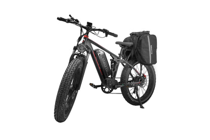 DUOTTS S26 Electric Bike