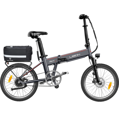 PVY LIBON（cópia）