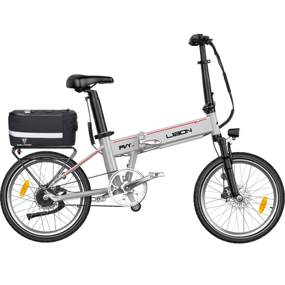 PVY LIBON（cópia）