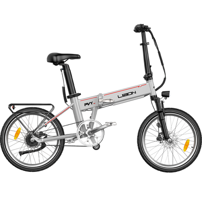 PVY LIBON（cópia）