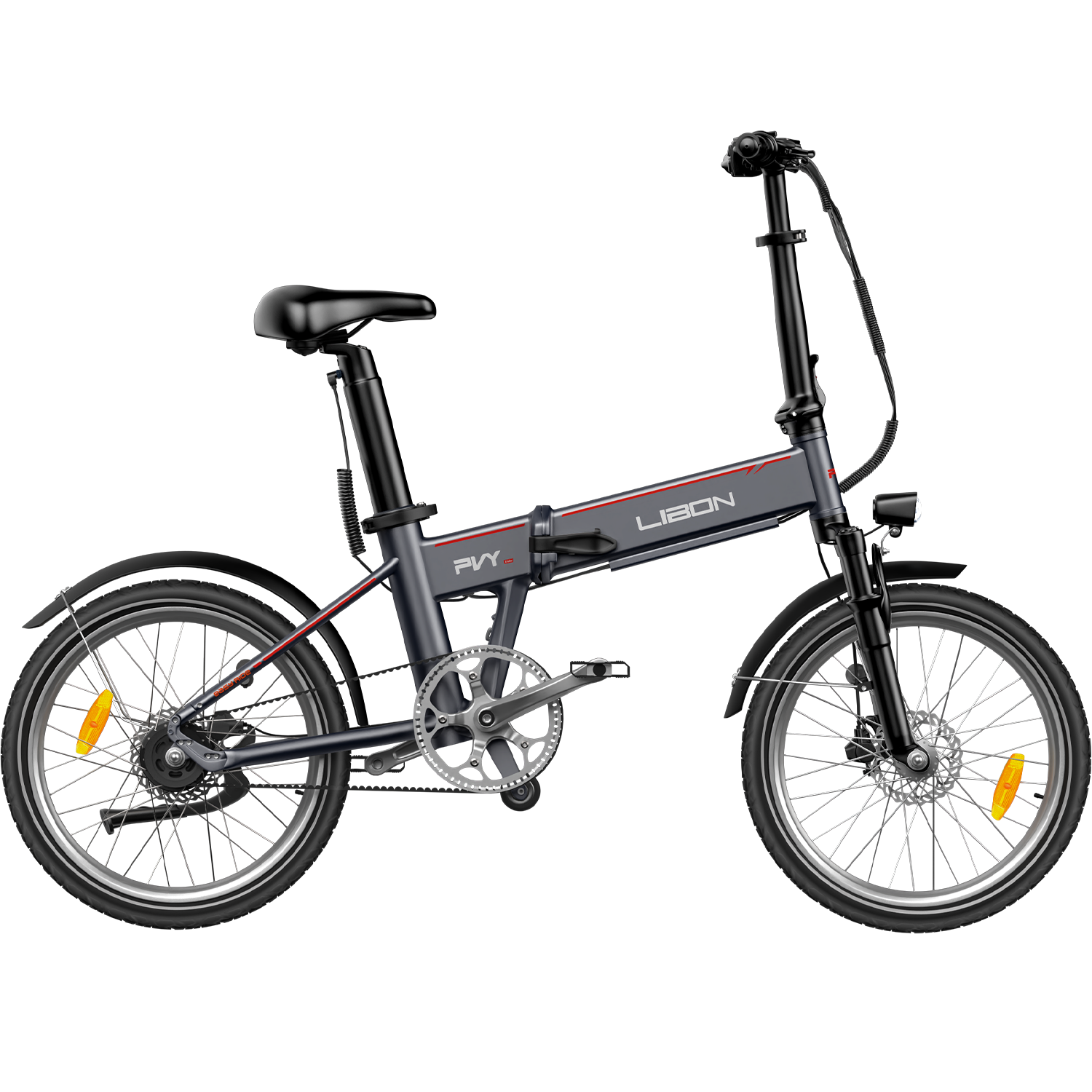 PVY LIBON（cópia）