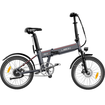 PVY LIBON（cópia）