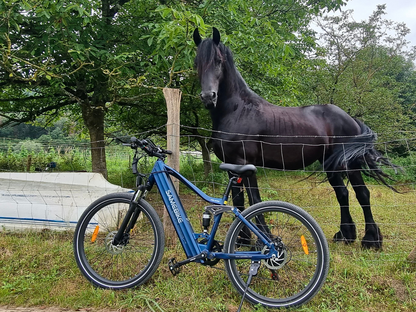 XD26-II Hybrid Electric Bike
