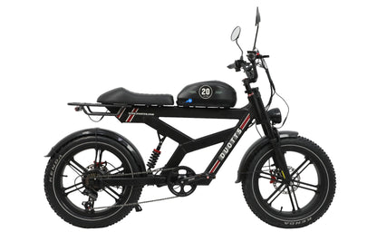DUOTTS F20 Bicicletta Elettrica