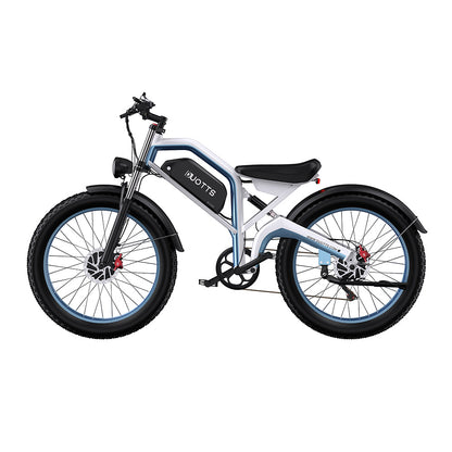 DUOTTS N26 26" Off Road Electric Bike 750W*2 Dual Motors 48V 20Ah Battery