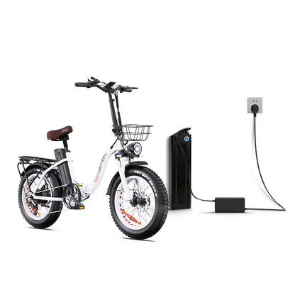 Drvetion CT20 20AH+20AH Dual batteries