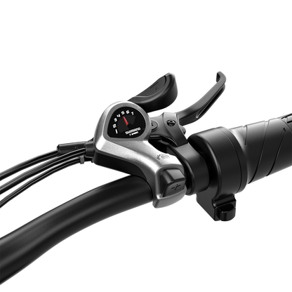 Shengmilo S600 2000W Dual Motor Electric Bike