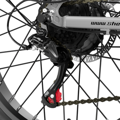 Shengmilo S600 2000W Dual Motor Electric Bike