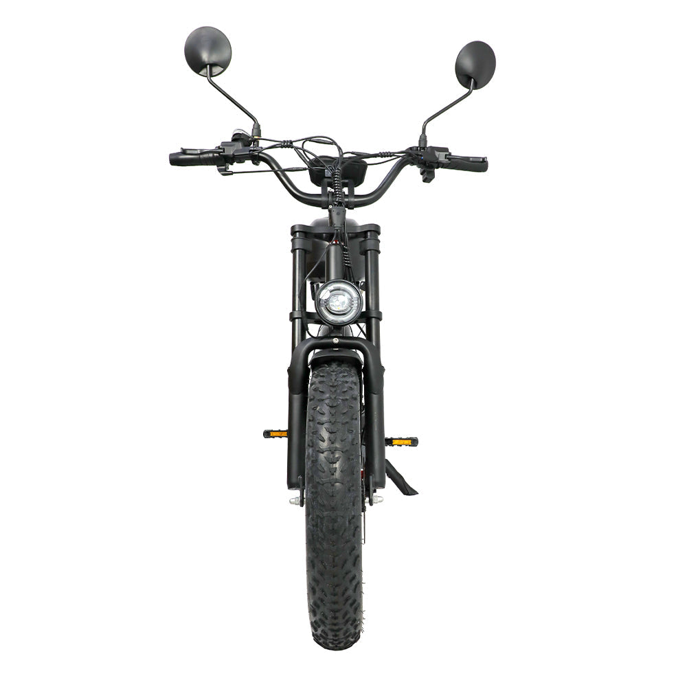 DUOTTS F20 20" Off Road Electric Bike 750W Motor 52V 27Ah Battery