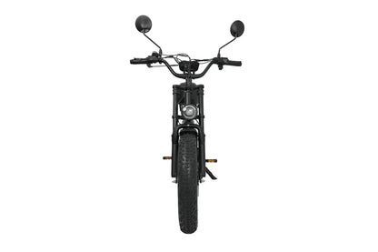 DUOTTS F20 Bicicletta Elettrica