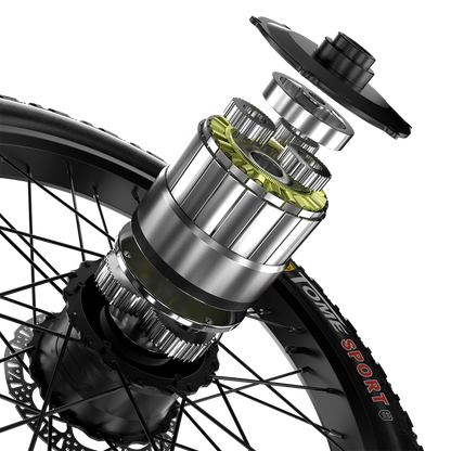 Shengmilo S600 2000W Dual Motor Electric Bike