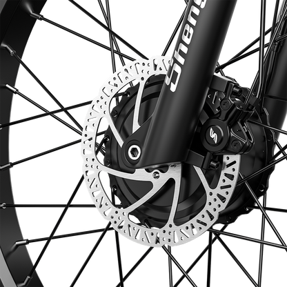 Shengmilo S600 2000W Dual Motor Electric Bike