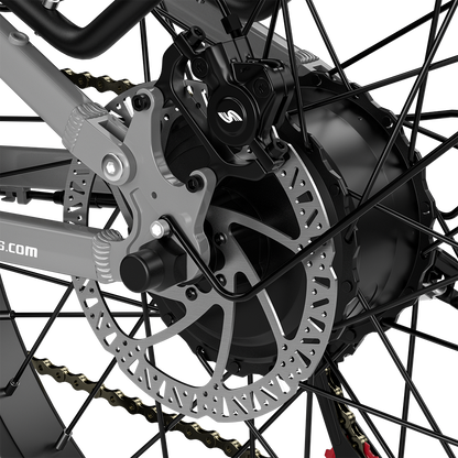 Shengmilo S600 2000W Dual Motor Electric Bike