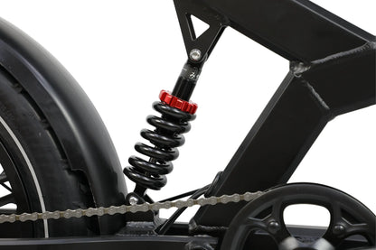 DUOTTS F20 Bicicletta Elettrica