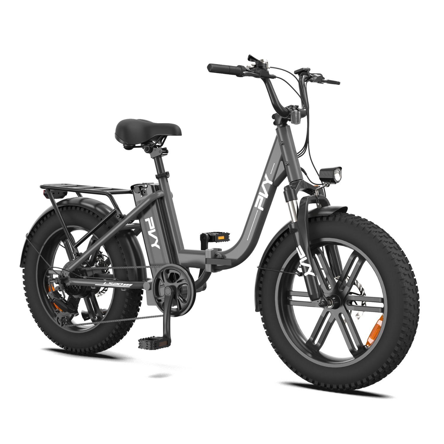 PVY LS20（cópia）