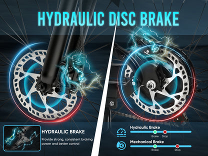 LO26 Plus Ebike Pieghevole con Pneumatici Grassi