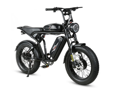 M20-III 2000W Electric Bicycle