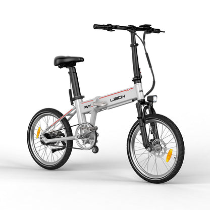 PVY LIBON（Backup）