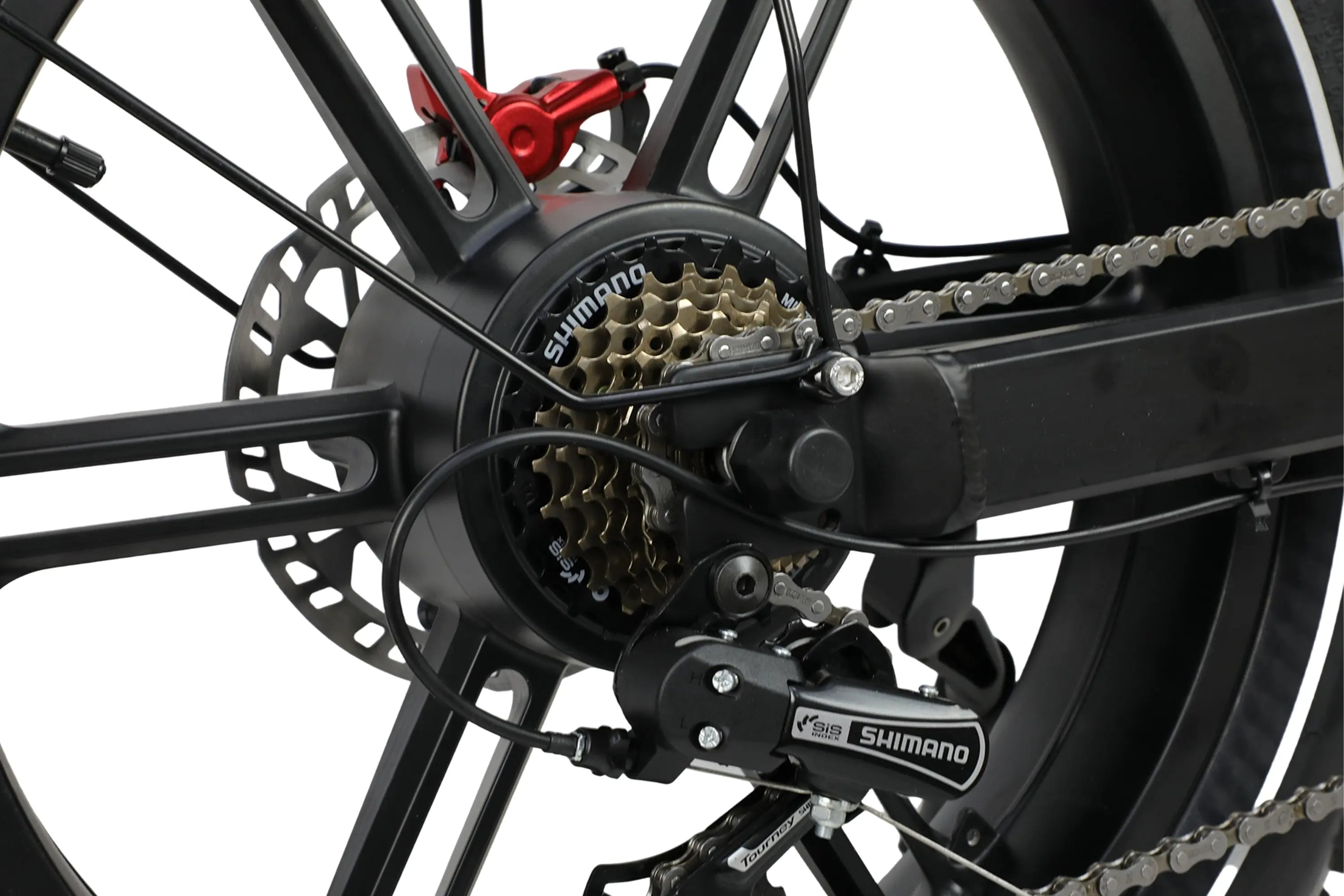 DUOTTS F20 Bicicletta Elettrica