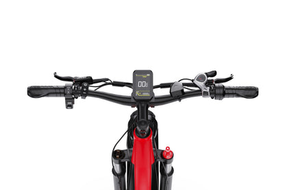 DUOTTS F26 Bicicleta Eléctrica
