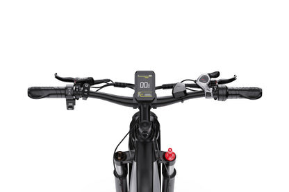 DUOTTS F26 Bicicleta Eléctrica
