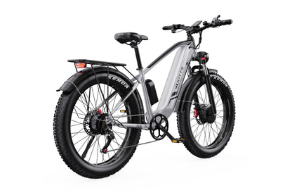 DUOTTS F26 Bicicleta Eléctrica