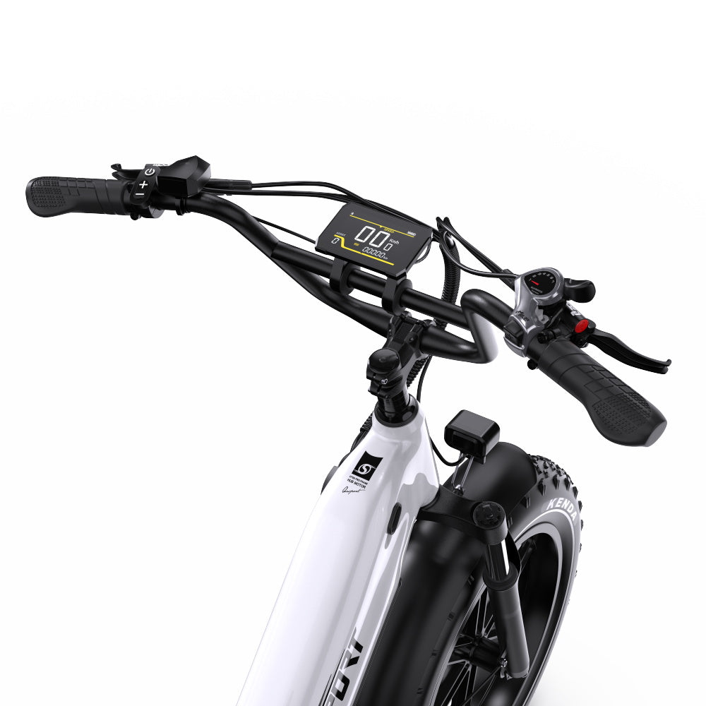 ONESPORT OT08 20" Fat Tire All-Terrain Electric Bike 500W Motor 48V 18Ah Battery