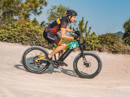 Lankeleisi RV800PLUS