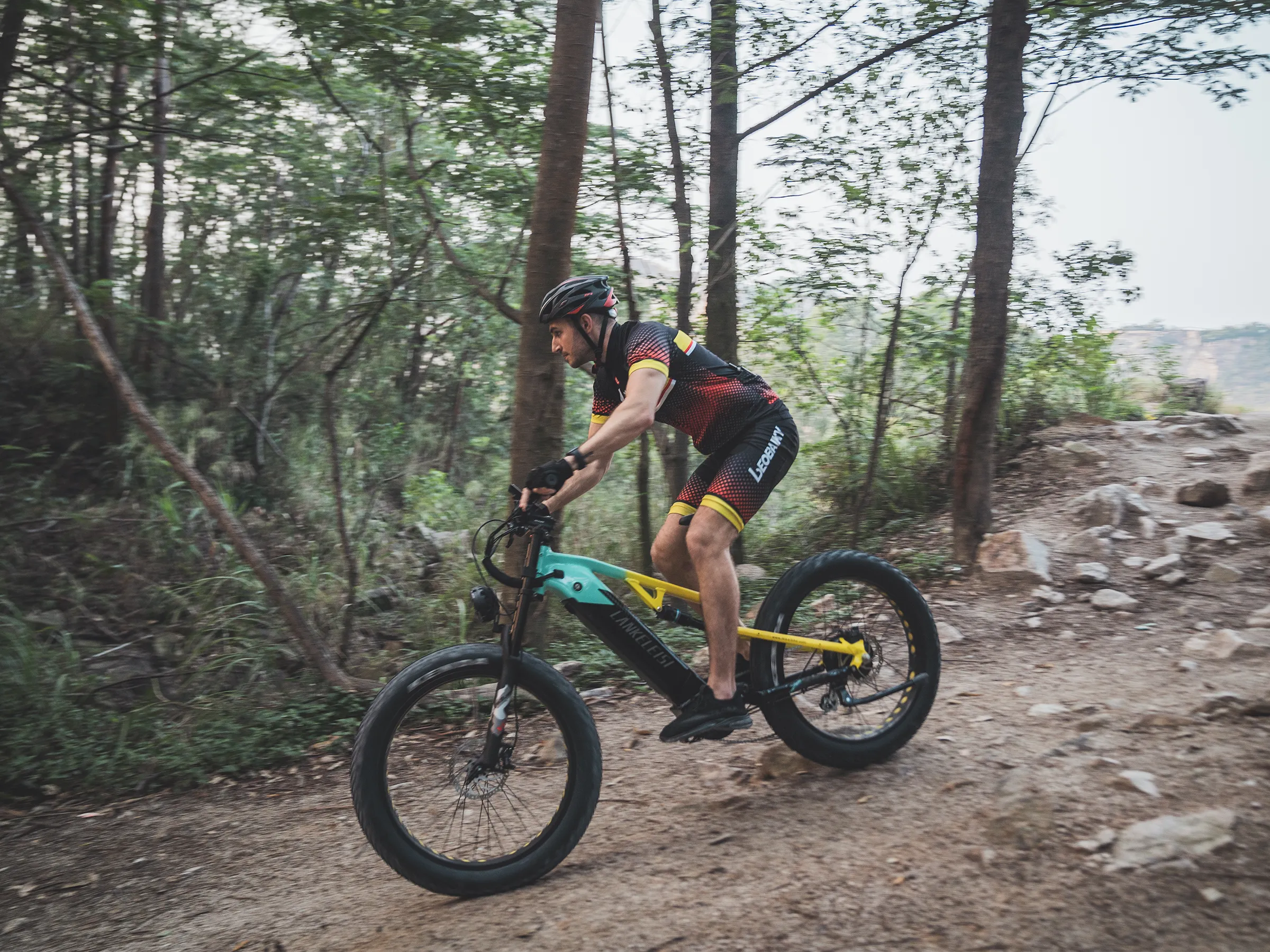 Lankeleisi RV800PLUS