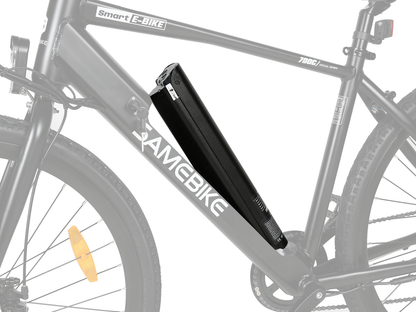 SAMEBIKE Batteri